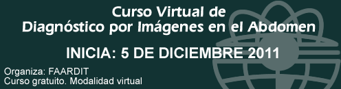 Curso Virtual de Diagnóstico por Imágenes en el Abdomen