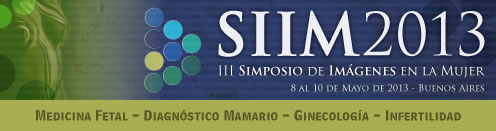 SIIM 2013