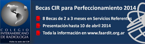 Becas CIR