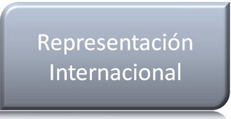 Representación Internacional