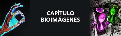 Capítulo Bioimágenes