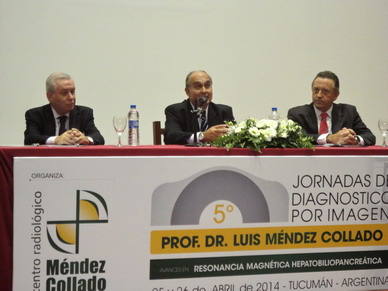 Jornadas Mendez Collado